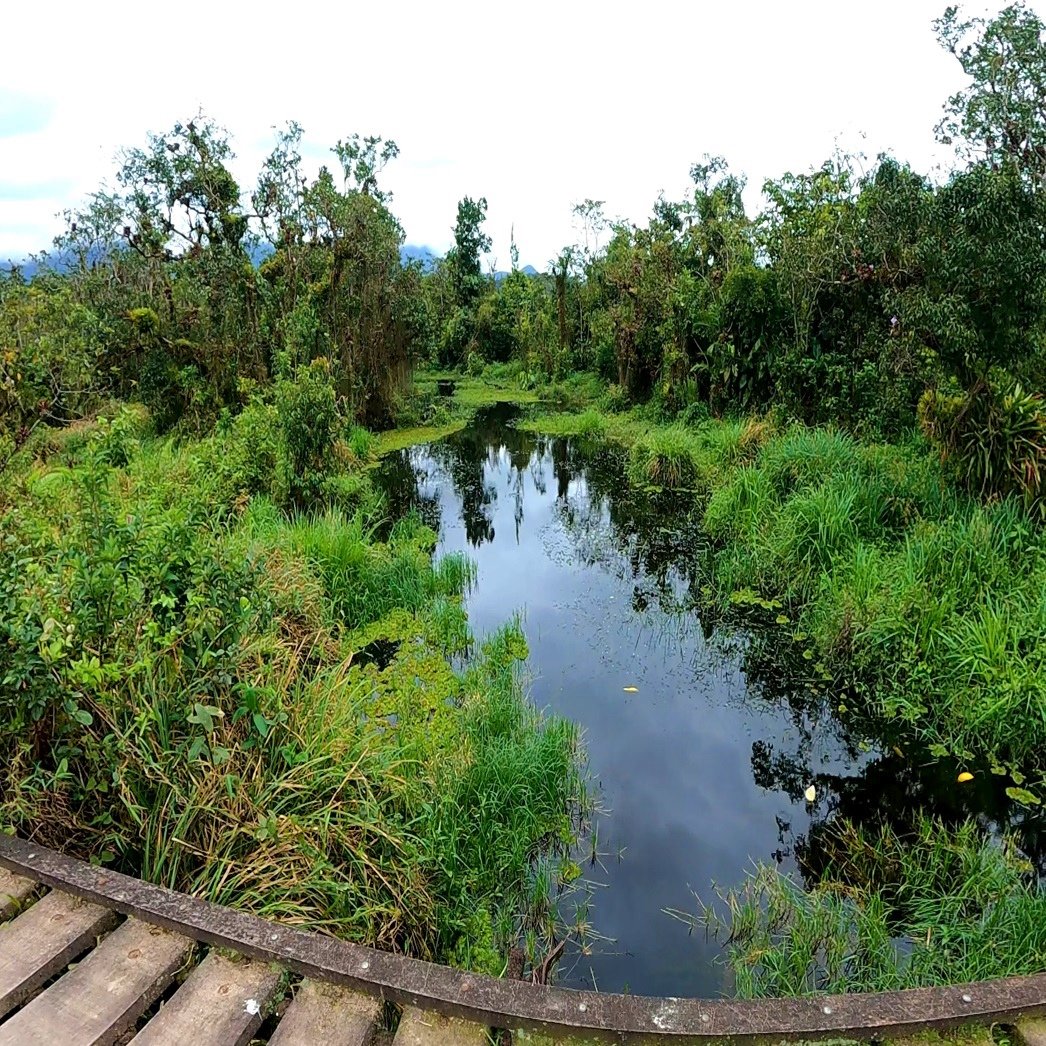 Rio na Trilha de São Lourenço