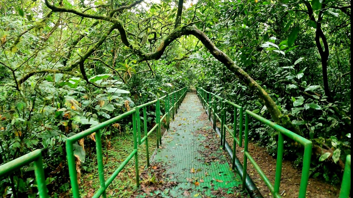 Trilha D'água em Bertioga
